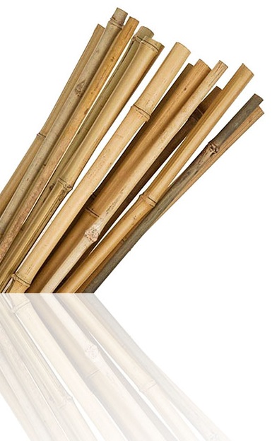3ft Pack Of 50 Large Thick Bamboo Canes